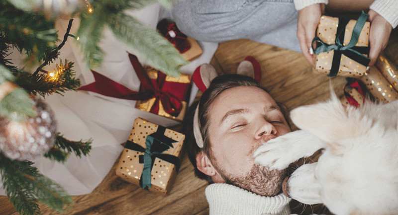 52-pet-and-winter-holidays-cute-happy-dog-playing-with-a-laying-man-800.png