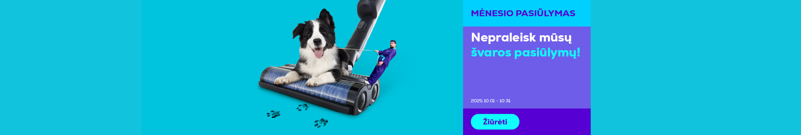 Don’t miss our cleaning offers	