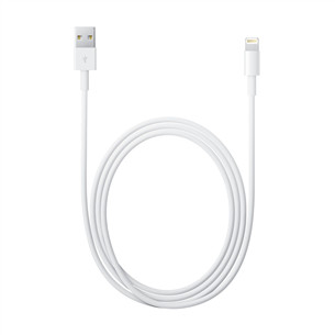 Кабель USB-A - Lightning Apple (2 м) Товар - MD819ZM/A