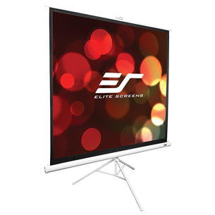 Elite Screens T99NWS1