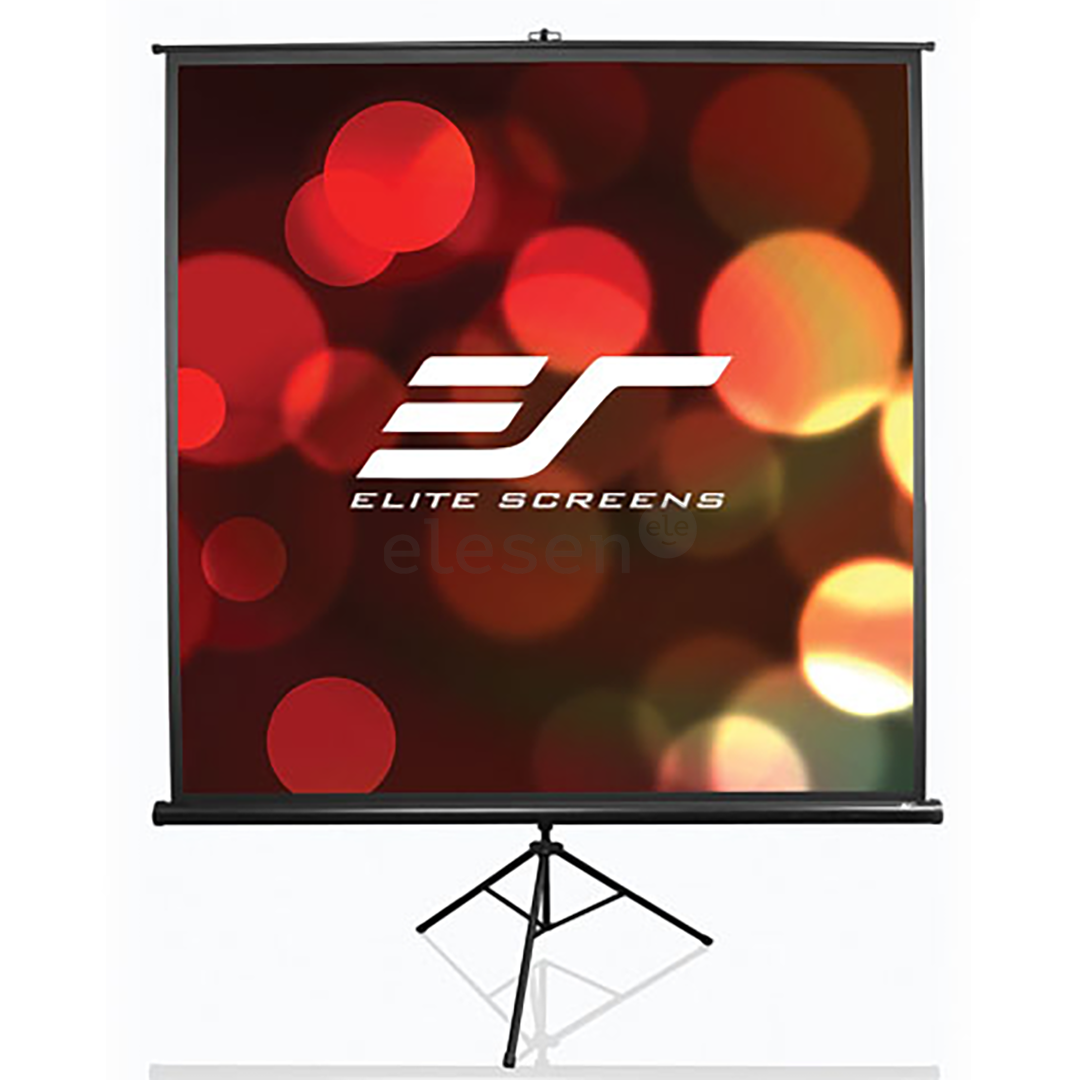 Elite Screens T99NWS1