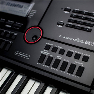 Casio CT-X3000 - Sintezatorius