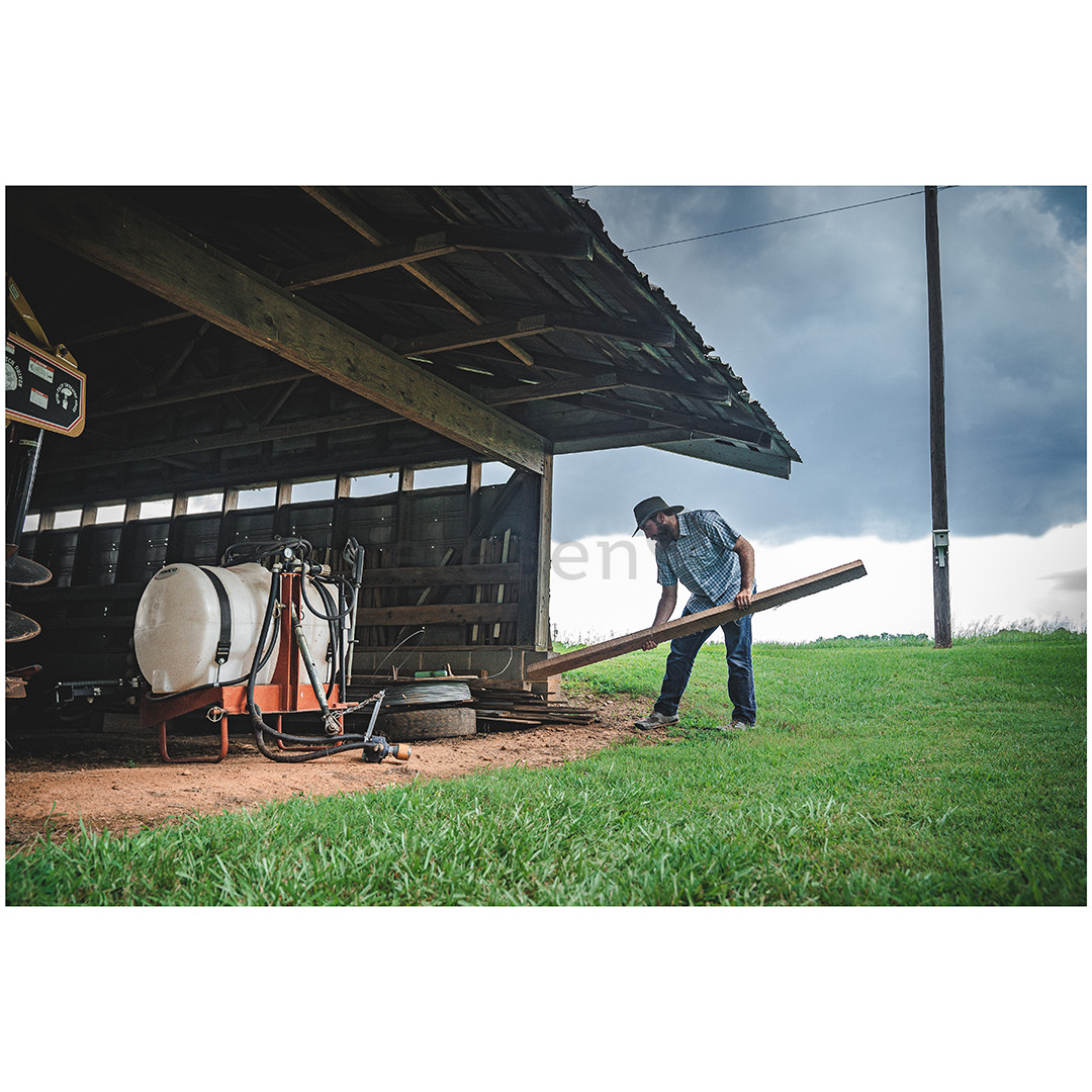 Thermacell MR300, green - Mosquito repeller