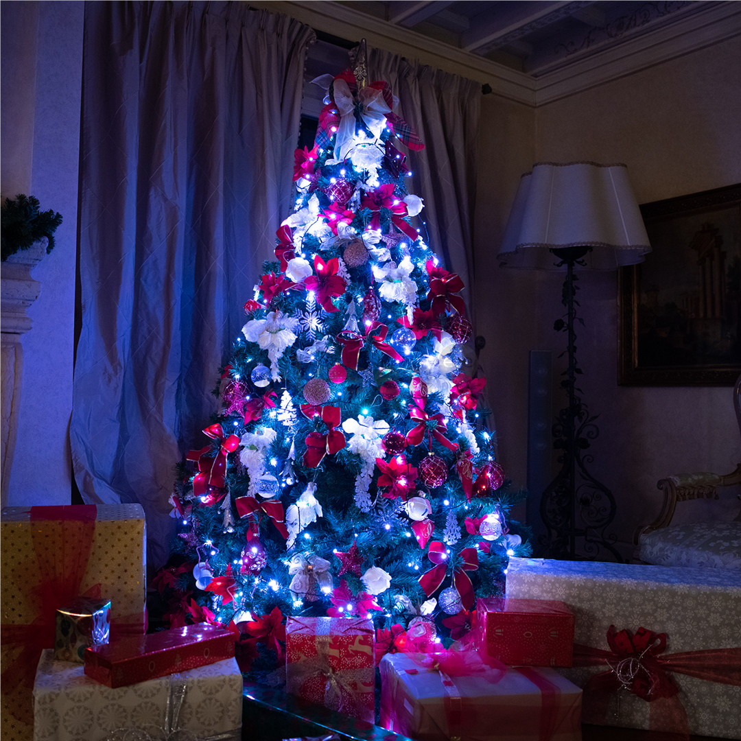 Twinkly 100 RGB LED String (Gen II), IP44, 8 m, black - Smart Christmas Lights