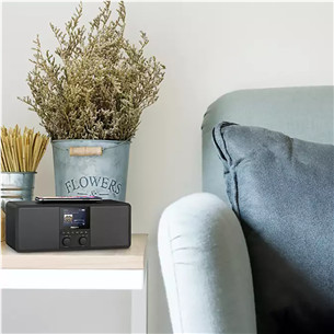 Philips TAR8805, FM, DAB+, Spotify connect, Bluetooth, belaidis įkrovimas, juodas - Radijas