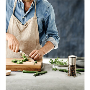 Нож шеф-повара WMF SpitzenKlasse Plus (20 см)