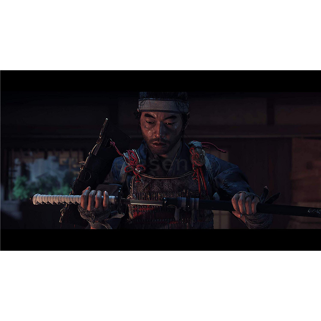 Игра Ghost of Tsushima Director's Cut для PlayStation 5 Товар - 711719713692