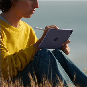 Apple iPad mini (2021), 8,3", 64 ГБ, WiFi, сиреневый - Планшет Товар - MK7R3HC/A