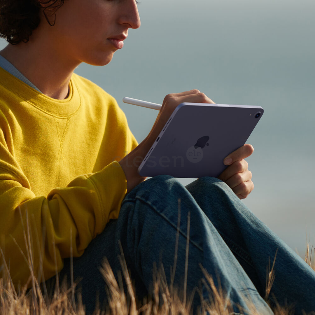 Apple iPad mini (2021), 8,3", 64 ГБ, WiFi + LTE, бежевый - Планшет