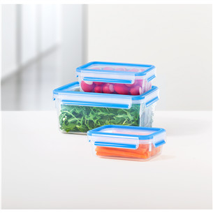 Fresh box set Tefal Masterseal (2,3 L + 1 L + 0,55 L)
