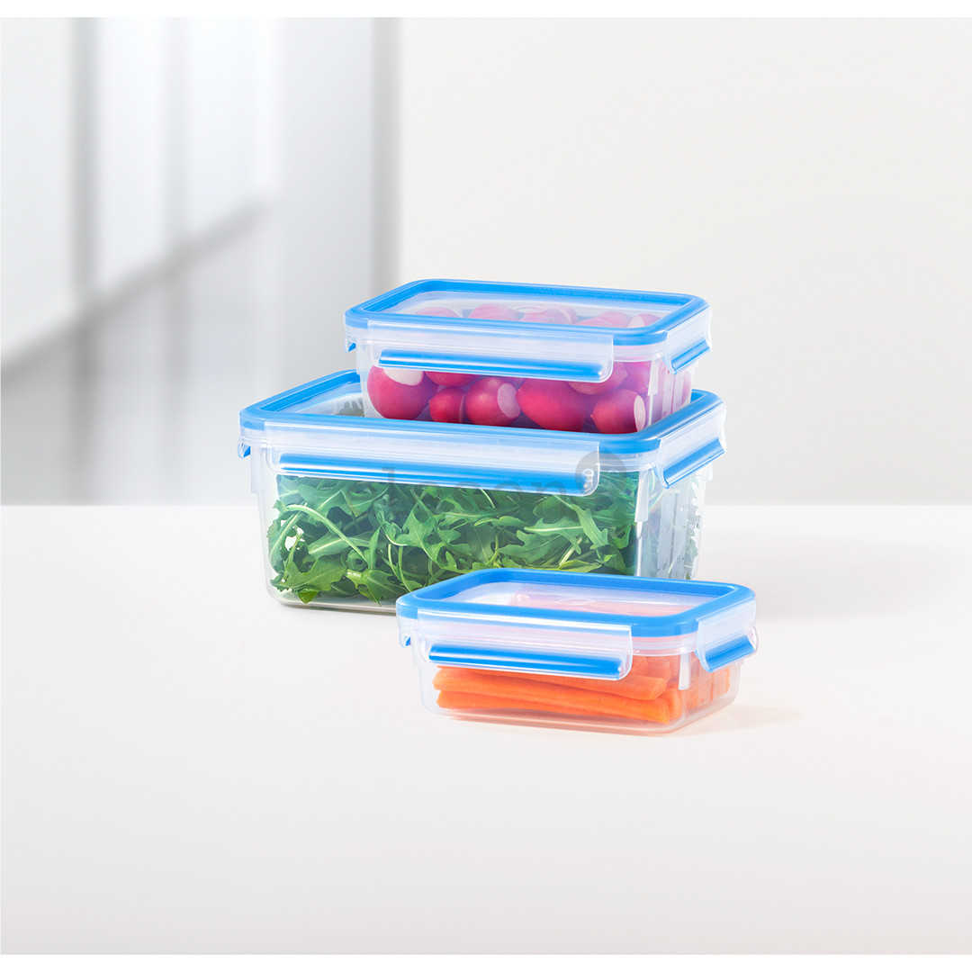Fresh box set Tefal Masterseal (2,3 L + 1 L + 0,55 L)
