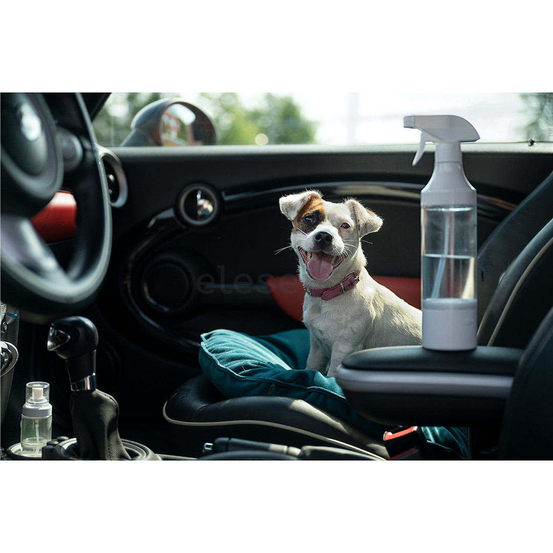 Vandens ozonavimo aparatas TesHub 300 ml, Prekė - OGRE300