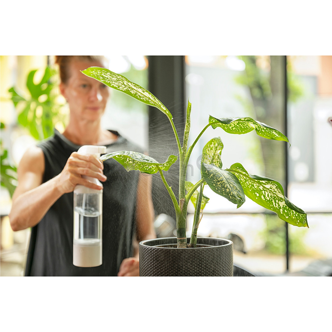 Vandens ozonavimo aparatas TesHub 300 ml, Prekė - OGRE300