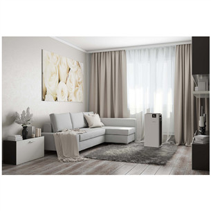 Boneco, 720 м³/ч, белый/черный - Очиститель воздуха Товар - P710