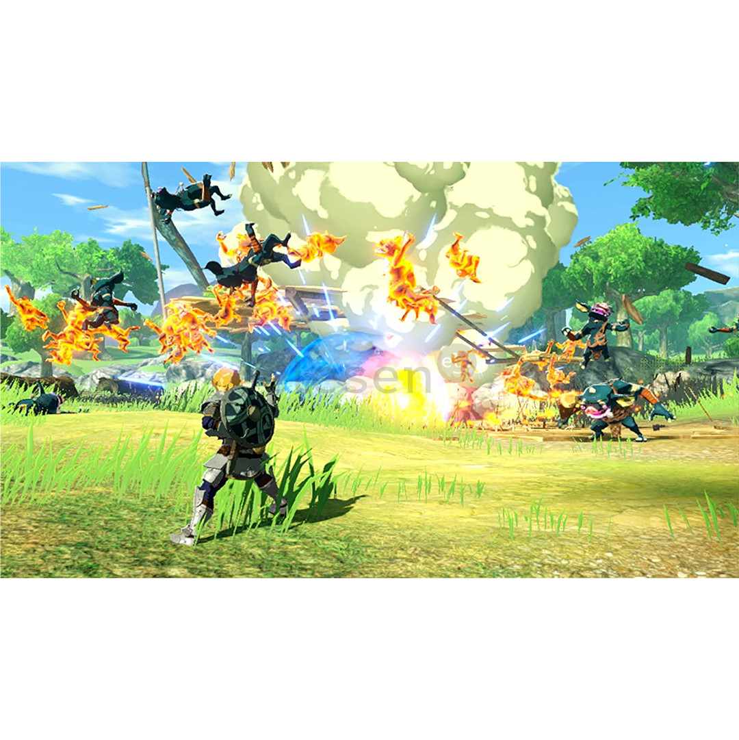 Switch game Hyrule Warriors: Age of Calamity Item - 045496427085