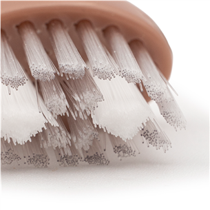 Spotlight Sonic, 3 pcs., pink - Toothbrush heads Item - SONICHEADSRG