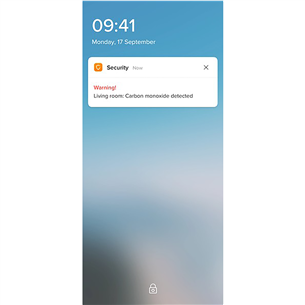 Netatmo Smart Carbon Monoxide Alarm, white - CO2 Dectector Item - NCO-EC