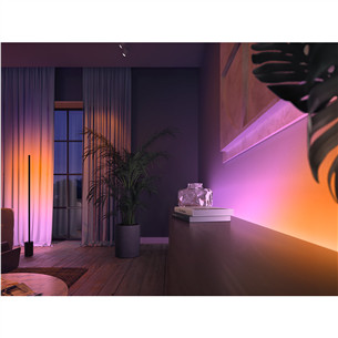 Philips Hue White and Color Ambiance Gradient Lightstrip Extension, 1 m, balta - LED juosta