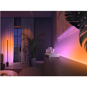 LED juosta Philips Hue White and Color Ambiance Gradient Lightstrip Extension, 1m. Prekė - 929002995001
