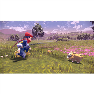 Pokemon Legends: Arceus (игра для Nintendo Switch) Товар - 045496428341