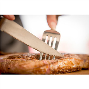 Tefal Ice Force, 4 pieces, blades length 11 cm - Knives set Item - K232S414