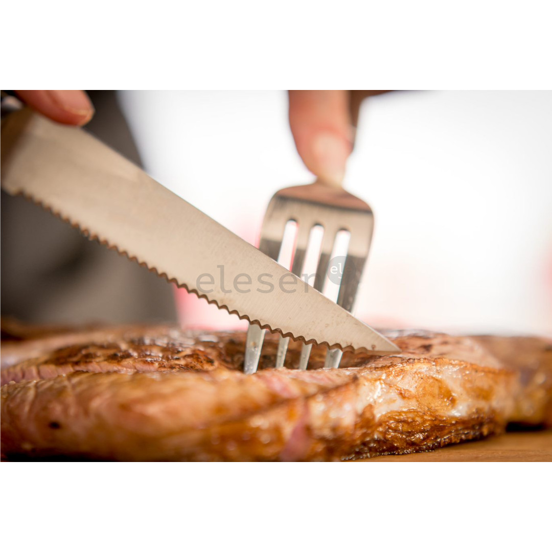 Tefal Ice Force, 4 pieces, blades length 11 cm - Knives set Item - K232S414