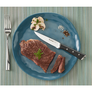 Peilių rinkinys Tefal Prekė - K232S414