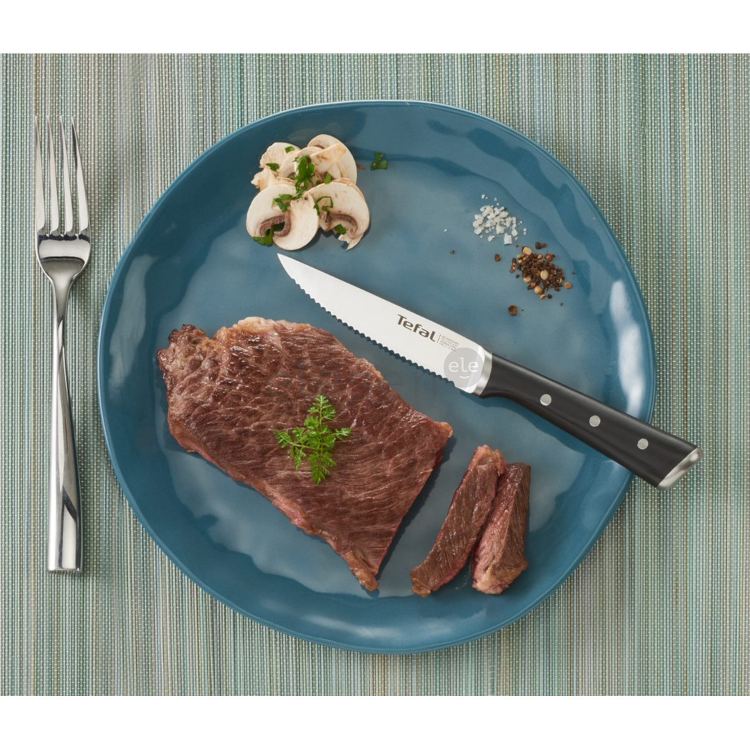 Tefal Ice Force, 4 pieces, blades length 11 cm - Knives set Item - K232S414