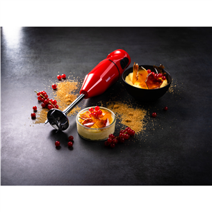 Trintuvas Bamix Prekė - 1120.003