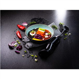 Bamix, черный - Беспроводной погружной блендер