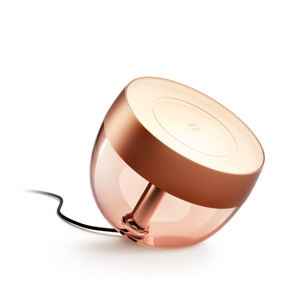 Išmanioji lemputė Philips Hue Iris Special Edition, copper Prekė - 929002376803 929002376803