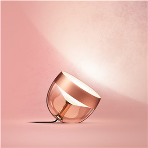 Philips Hue Iris Special Edition, vario spalvos - Išmanioji lemputė