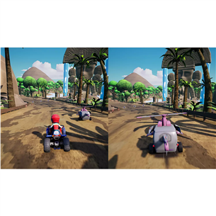 Žaidimas PS4 Paw Patrol: Grand Prix Prekė - 5060528037983
