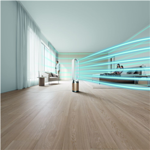 Oro valytuvas Dyson   Prekė-TP09