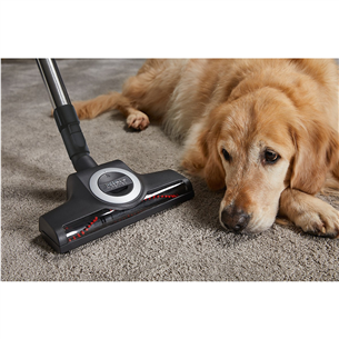 Miele Complete C3 Cat & Dog, 890 W, red - Vacuum cleaner Item - 12031690