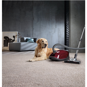 Miele Complete C3 Cat & Dog, 890 W, red - Vacuum cleaner Item - 12031690