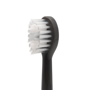 Spotlight Sonic, 3 pieces, grey - Toothbrush heads Item - SONICHEADSGG