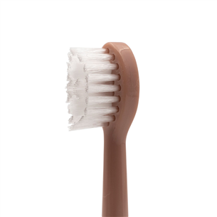 Spotlight Sonic, 3 pcs., pink - Toothbrush heads Item - SONICHEADSRG