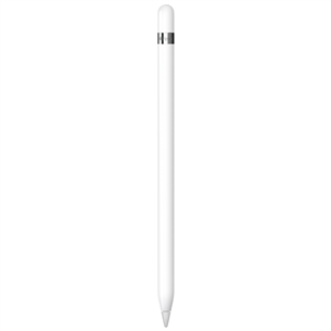 Apple Pencil (1st gen) Prekė - MQLY3ZM/A MQLY3ZM/A