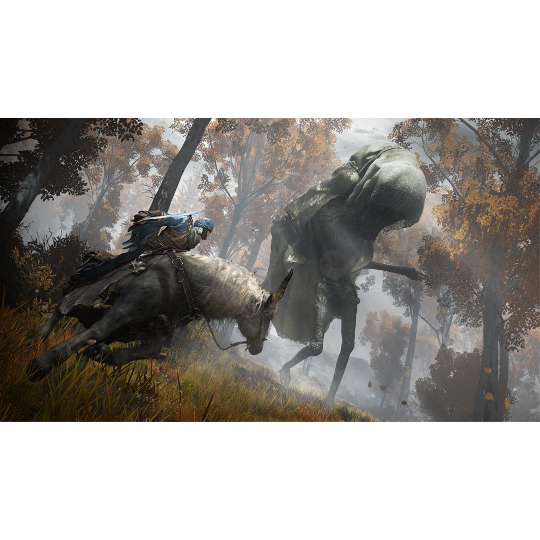 Žaidimas PS5 Elden Ring Prekė - 3391892017229