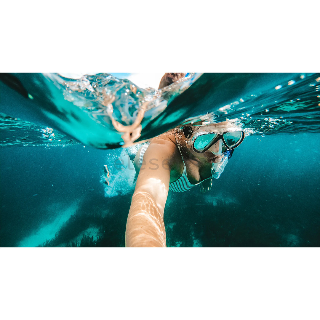 GoPro The Handler, black - Hand grip Item - AFHGM-003