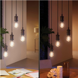 Philips Hue White Filament, E27, black - Smart Light Item - 929003051401