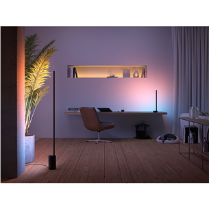 Philips Hue Signe, White and Color Ambiance, black - LED Floor Lamp Item - 915005987201