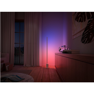Šviestuvas Philips Hue Signe, White and Color Ambiance Prekė - 915005987101