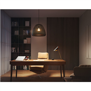 Išmanioji lemputė Philips Hue White, E27, white Prekė - 929002334904