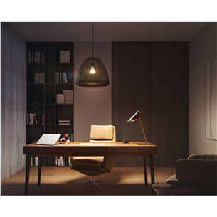 Išmanioji lemputė Philips Hue White, E27, white Prekė - 929002334904