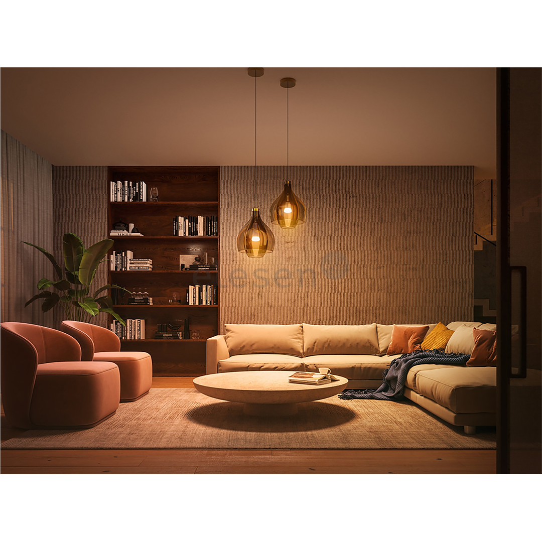 Philips Hue White Ambiance 1100, E27, white - Smart Light Item - 929002468401