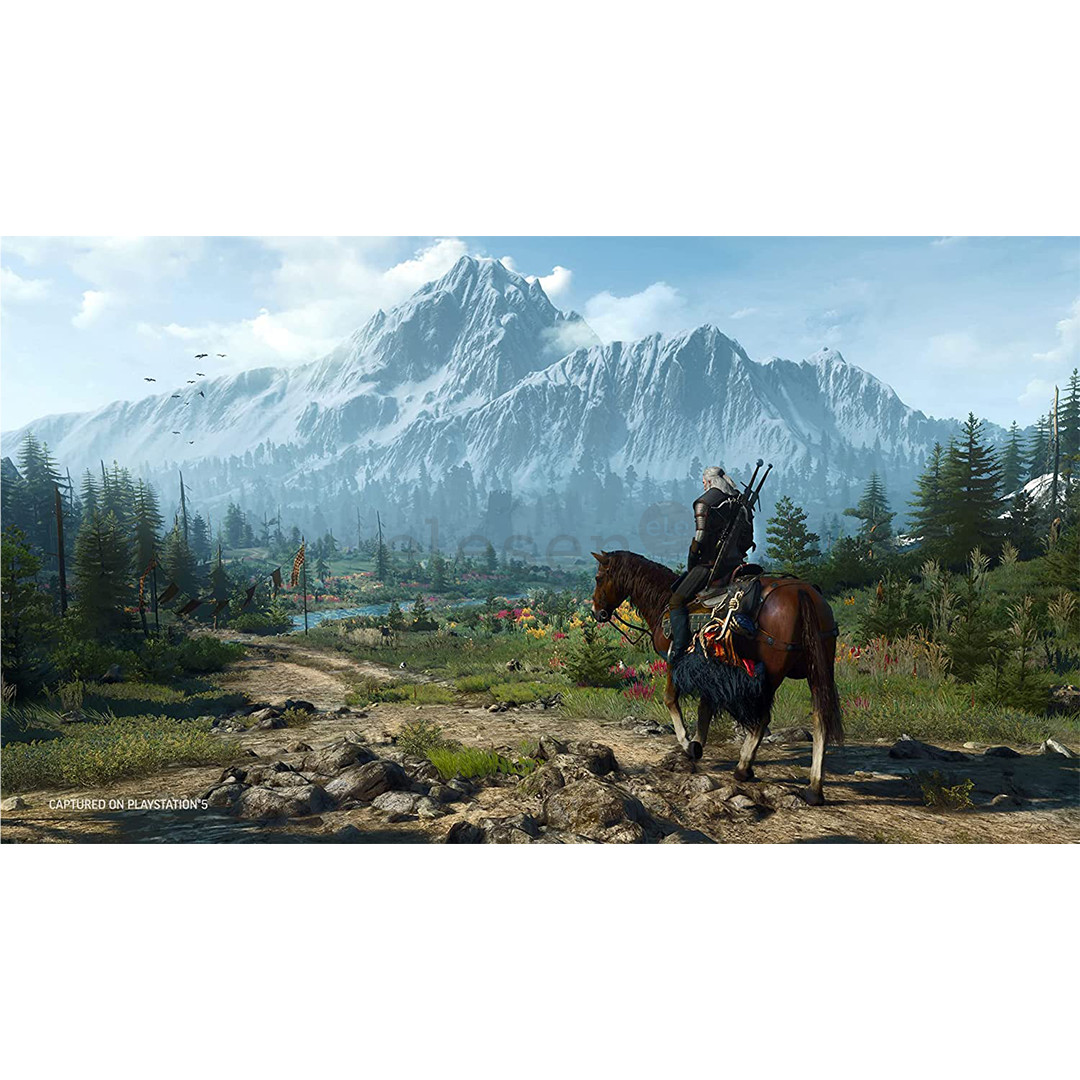 The Witcher 3: Wild Hunt, Playstation 5 - Game Item - 3391892015461