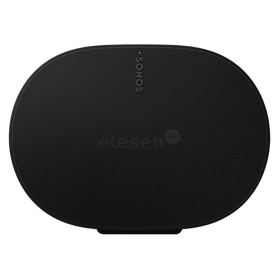 Sonos Era 300, black - Smart home speaker Item - E30G1EU1BLK