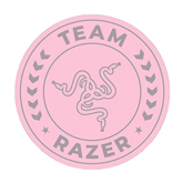 Grindų kilimėlis Razer Team Razer Floor Rug Prekė - RC81-03920300-R3M1
